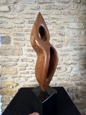 Large Freeform Sculpture, 1960s, Wood on Marble Base-EVQ-2040451