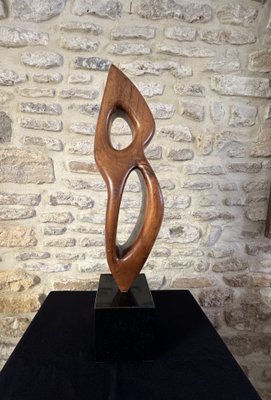 Large Freeform Sculpture, 1960s, Wood on Marble Base-EVQ-2040451