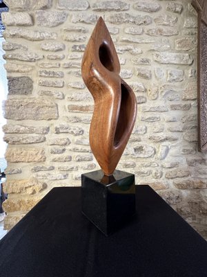 Large Freeform Sculpture, 1960s, Wood on Marble Base-EVQ-2040451