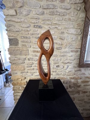 Large Freeform Sculpture, 1960s, Wood on Marble Base-EVQ-2040451