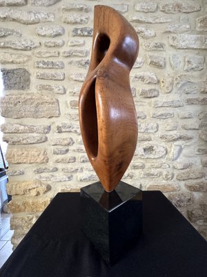 Large Freeform Sculpture, 1960s, Wood on Marble Base-EVQ-2040451