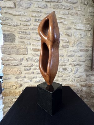 Large Freeform Sculpture, 1960s, Wood on Marble Base-EVQ-2040451