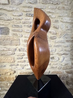 Large Freeform Sculpture, 1960s, Wood on Marble Base-EVQ-2040451