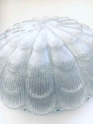 Large Frosted Flower Glass Sconce Wall Lamp from MCM, 1960s-RQV-1388873