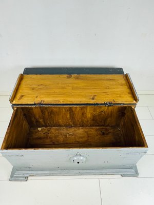 Large Grey Painted Chest or Blanket Box in Oak-WQJ-1077249