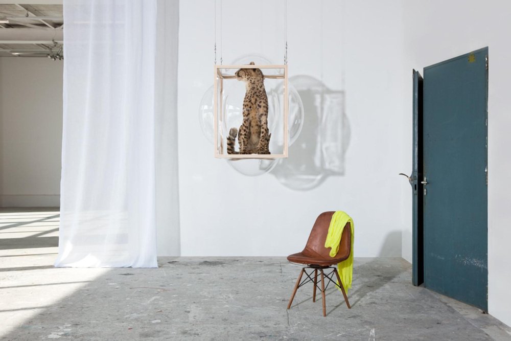 Large Hanging Curator Bubble Cabinet by Studio Thier & Van Daalen