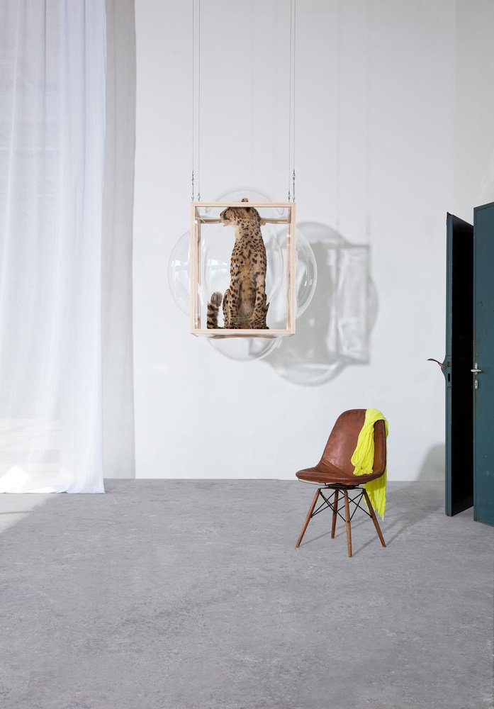 Large Hanging Curator Bubble Cabinet by Studio Thier & Van Daalen