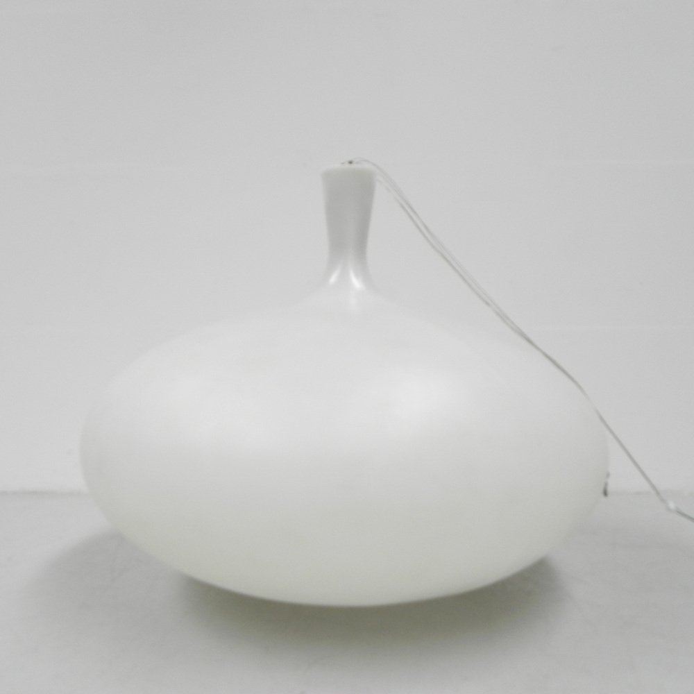 Large Hanging Lamp No Fruit by Anthony Duffeleer for Dark, 2000s