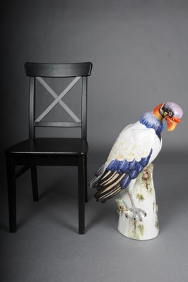 Large King Vulture from Meissen, 1880-FLW-1752119