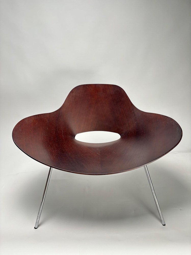 Large Largo Chair in Curved Walnut from Emmemobili, Italy, 1970s