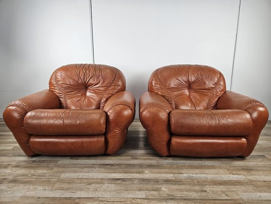 Large Mid-Century Brown Leather Armchairs, 1970, Set of 2-ZUW-2034990