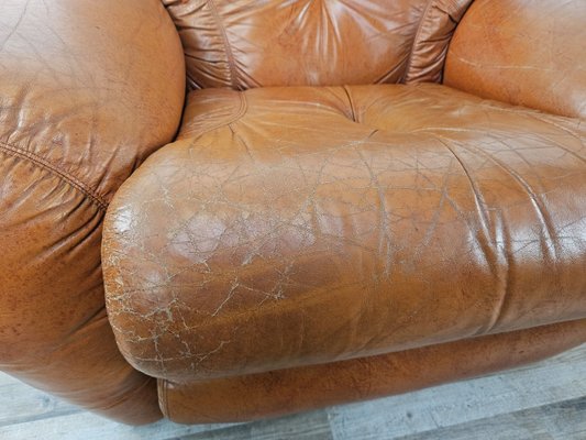 Large Mid-Century Brown Leather Armchairs, 1970, Set of 2-ZUW-2034990