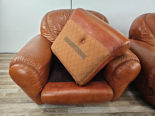 Large Mid-Century Brown Leather Armchairs, 1970, Set of 2-ZUW-2034990