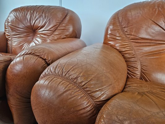 Large Mid-Century Brown Leather Armchairs, 1970, Set of 2-ZUW-2034990