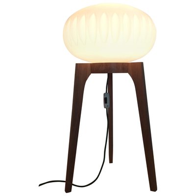 Large Mid-Century Floor Lamp from Krásná Jizba for ÚLUV, 1970s-TZ-666630