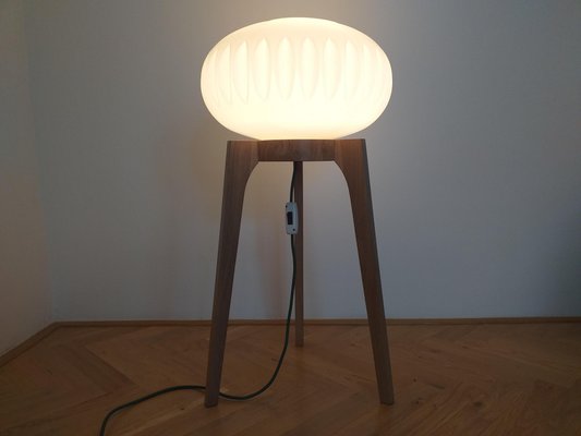 Large Mid-Century Floor Lamp from Krásná Jizba for ÚLUV, 1970s-TZ-666630