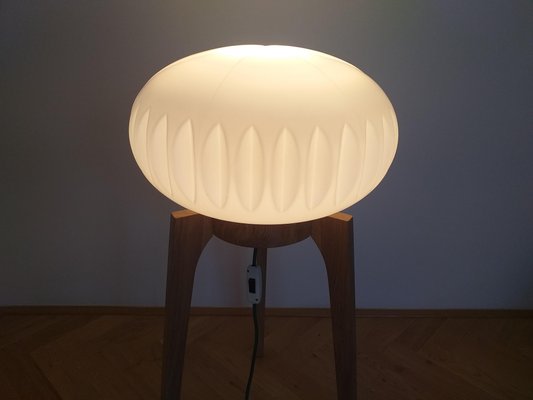 Large Mid-Century Floor Lamp from Krásná Jizba for ÚLUV, 1970s-TZ-666630