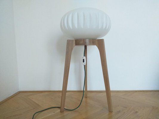 Large Mid-Century Floor Lamp from Krásná Jizba for ÚLUV, 1970s-TZ-666630