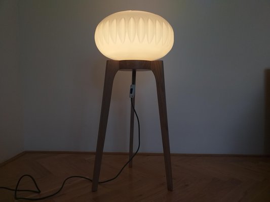 Large Mid-Century Floor Lamp from ÚLUV, 1970s-TZ-666629