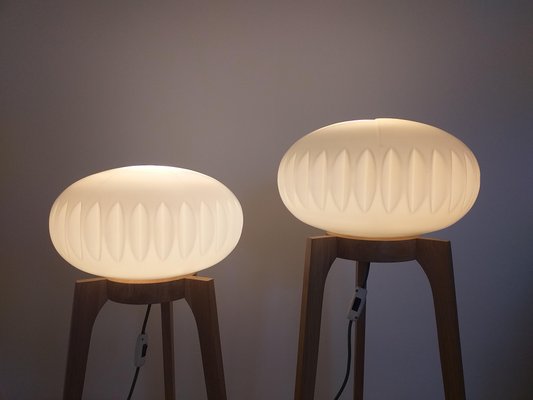 Large Mid-Century Floor Lamps from Krásná Jizba for ÚLUV, 1970s, Set of 2-TZ-666623