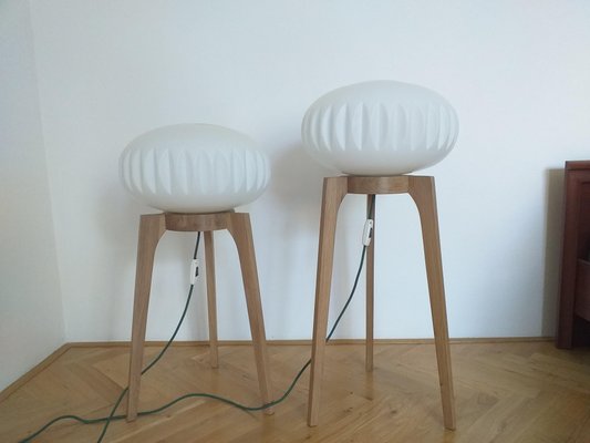 Large Mid-Century Floor Lamps from Krásná Jizba for ÚLUV, 1970s, Set of 2-TZ-666623