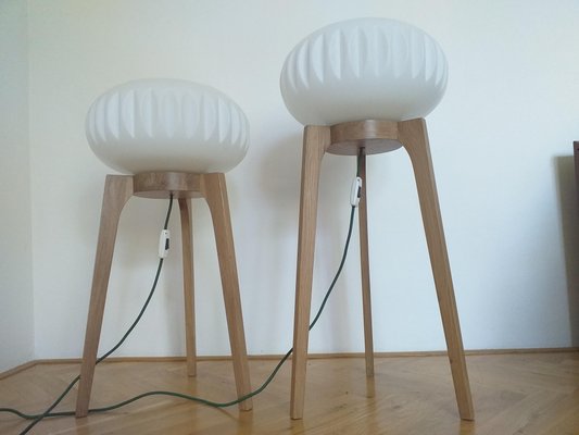 Large Mid-Century Floor Lamps from Krásná Jizba for ÚLUV, 1970s, Set of 2-TZ-666623