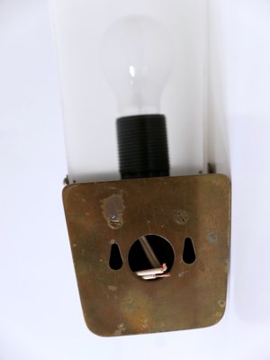 Large Mid-Century Modern Brass & Acrylic Wall Light or Sconce, Germany, 1950s-WPT-1436180