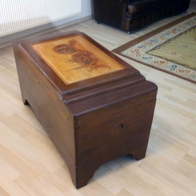 Large Mid-Century Oriental Camphor Wood Chest or Trunk, China, 1940s-YGE-974714