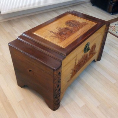 Large Mid-Century Oriental Camphor Wood Chest or Trunk, China, 1940s-YGE-974714