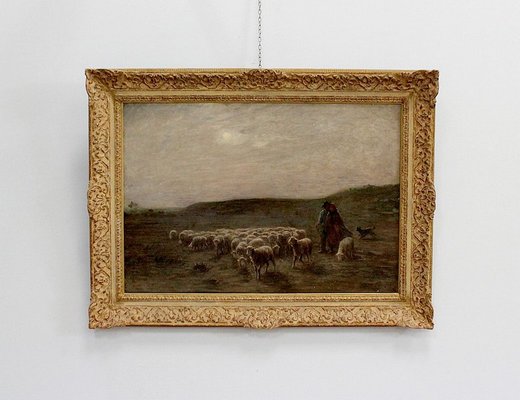 Large moutons au pâturage Painting by A. Charpin, 1906-RVK-998543