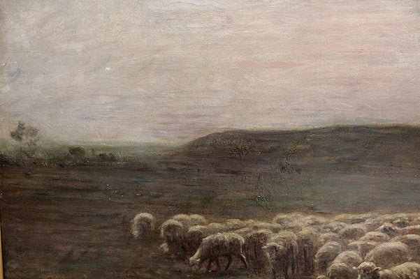 Large moutons au pâturage Painting by A. Charpin, 1906-RVK-998543