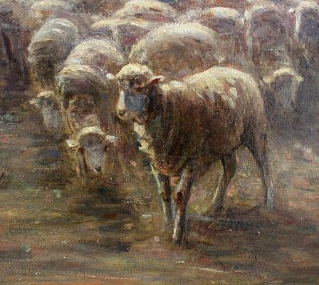 Large moutons au pâturage Painting by A. Charpin, 1906-RVK-998543