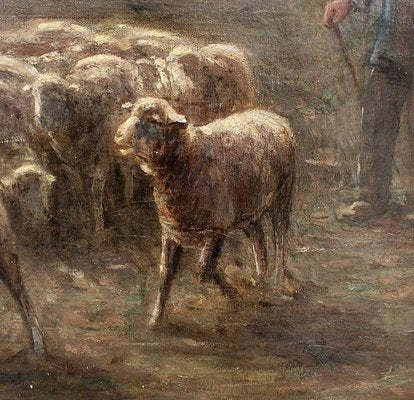 Large moutons au pâturage Painting by A. Charpin, 1906-RVK-998543