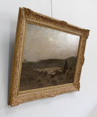 Large moutons au pâturage Painting by A. Charpin, 1906-RVK-998543