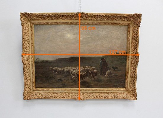 Large moutons au pâturage Painting by A. Charpin, 1906-RVK-998543