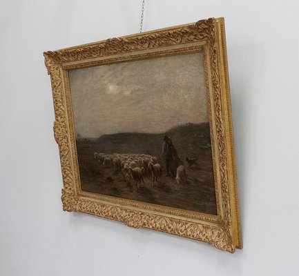 Large moutons au pâturage Painting by A. Charpin, 1906-RVK-998543