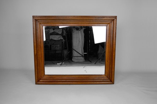 Large Napoleon III Mirror in Molded Oak, France, 1860s-XNH-1021690