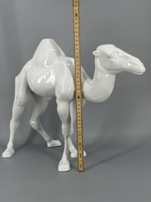 Large Porcelain Dromedary Figure from Goebel, Germany, 1984-CZ-2025362