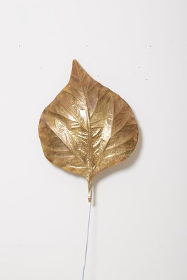 Large Rhubarb Leaf Brass Wall Light or Sconce by Tommaso Barbi, 1970s-VLZ-631827