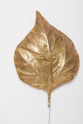 Large Rhubarb Leaf Brass Wall Light or Sconce by Tommaso Barbi, 1970s-VLZ-631827