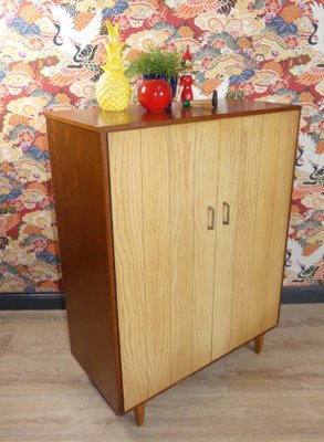 Large Shoe Cabinet, 1960s-AFE-1170136