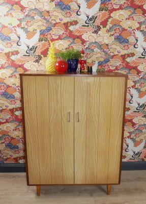 Large Shoe Cabinet, 1960s-AFE-1170136