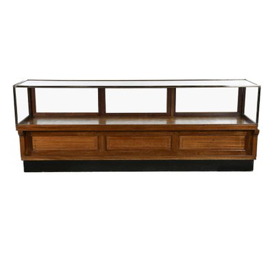 Large Showcase in Rosewood and Brass-NQ-1271739