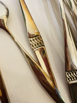 Large Silver Savoy Cutlery Set from Robbe & Berking, 1970s, Set of 97-RZY-1751980