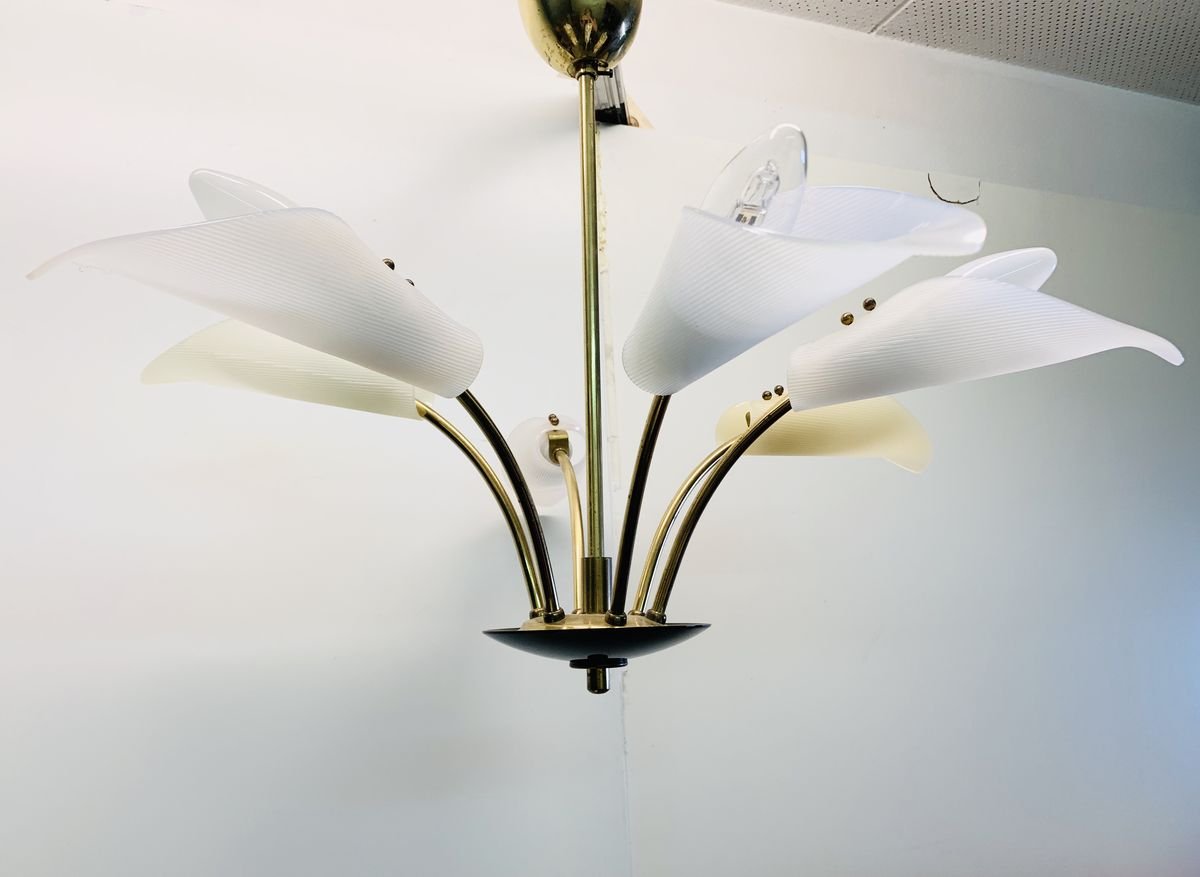 Large Sputnik Spider Floral 6-Arm Ceiling Lamp in Plastic & Brass, 1950s