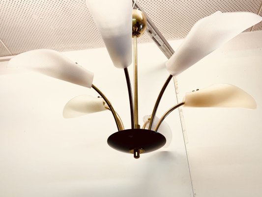 Large Sputnik Spider Floral 6-Arm Ceiling Lamp in Plastic & Brass, 1950s