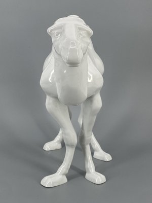 Large Standing Figure of a Dromedary in Porcelain by Goebel, Germany, 1980s-CZ-2018300