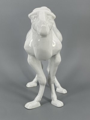 Large Standing Figure of a Dromedary in Porcelain by Goebel, Germany, 1980s-CZ-2018300