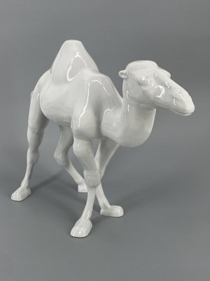 Large Standing Figure of a Dromedary in Porcelain by Goebel, Germany, 1980s-CZ-2018300