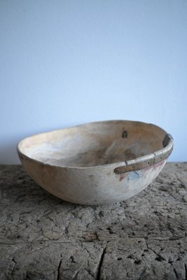 Large Swedish Burl Birch Bowl, 1800s-DAL-1799528